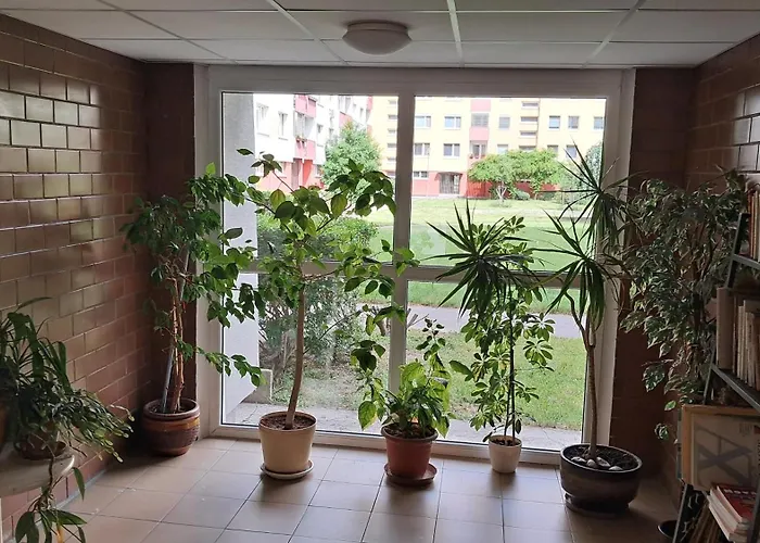 Team Flat & Urban Family Comfort - Homebase With A Castle View